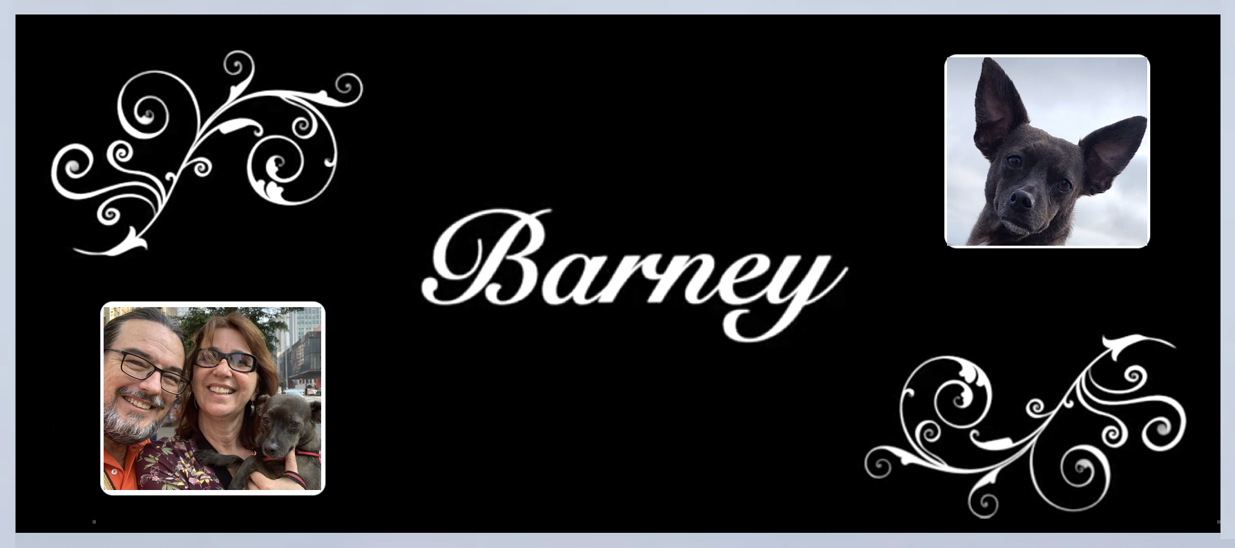   Website Barney.png